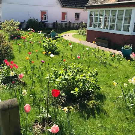 Hues Sanskiin *driiwholt* Suddorf