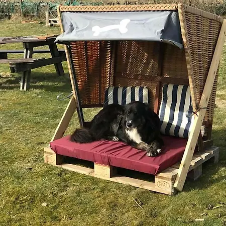 Hues Sanskiin *driiwholt* *