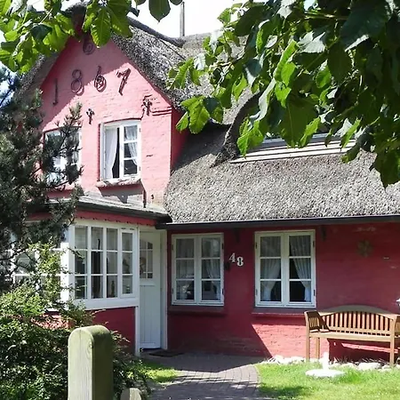 Hues Sanskiin *driiwholt* *