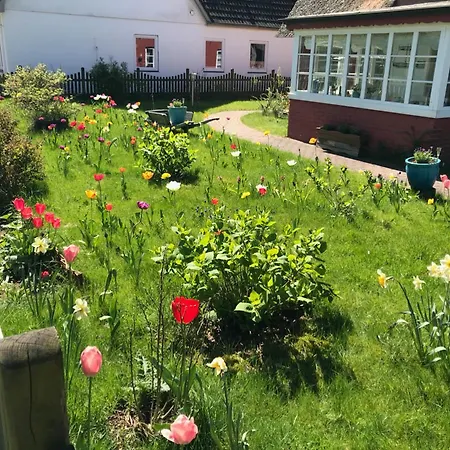 Hues Sanskiin *driiwholt* Apartament Suddorf