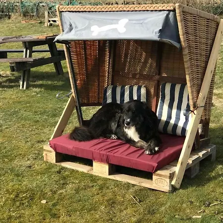 Apartament Hues Sanskiin *driiwholt* *