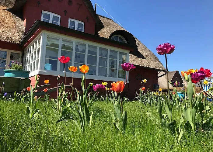 Appartamento Hues Sanskiin *driiwholt* Suddorf